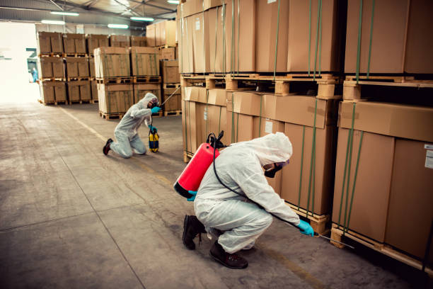 Best Flea Control Services  in Woodstown, NJ