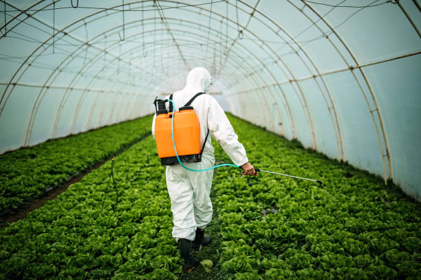 Best Affordable Pest Control Services  in Woodstown, NJ