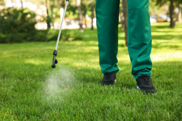 Best Insect Control  in Woodstown, NJ