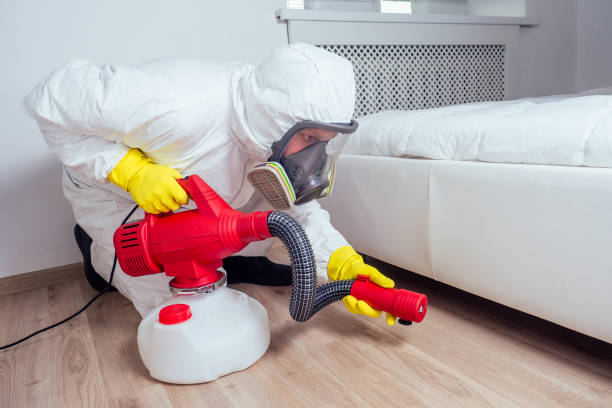 Best Pest Control Near Me  in Woodstown, NJ