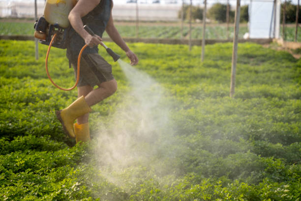 Best Exterminator Services  in Woodstown, NJ