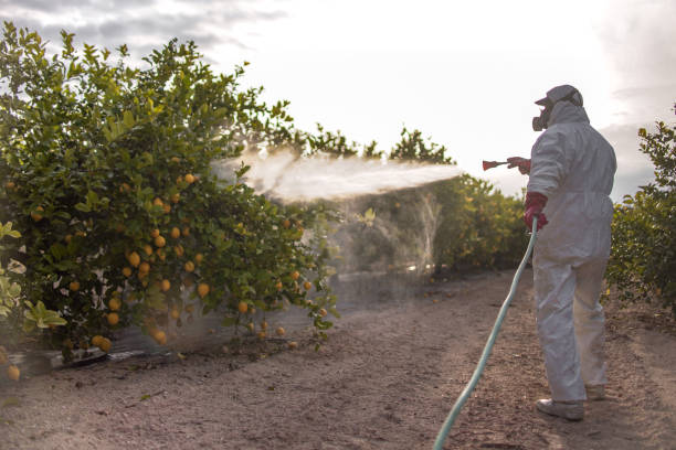Best Residential Pest Control  in Woodstown, NJ