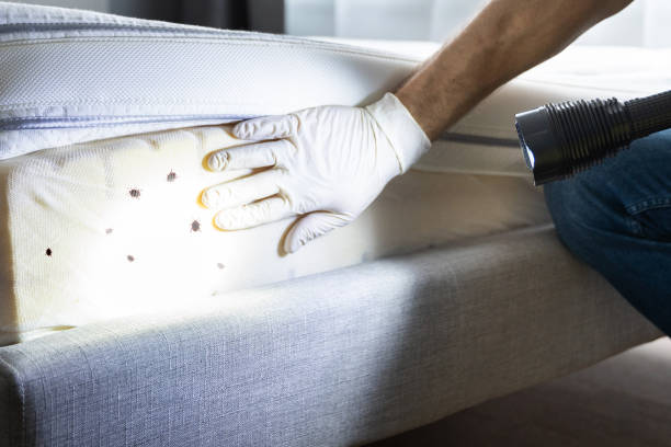 Best Insect Control  in Woodstown, NJ