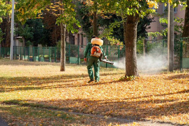 Best Mosquito Control Services  in Woodstown, NJ