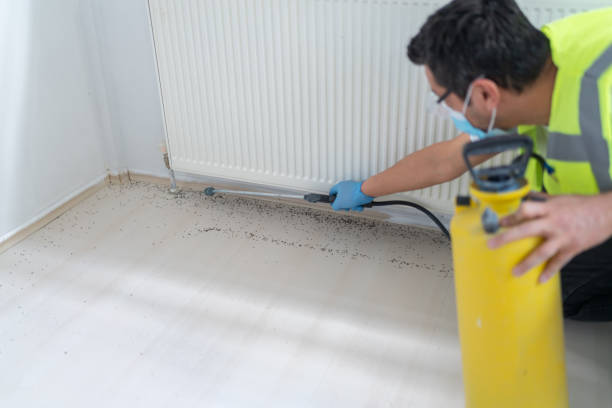 Best Affordable Exterminators  in Woodstown, NJ