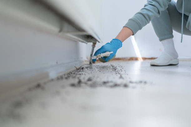 Best Rat Extermination Near Me  in Woodstown, NJ