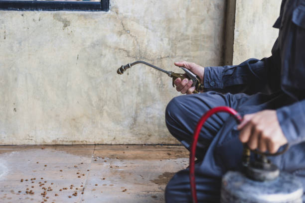 Best Pest Removal Services  in Woodstown, NJ